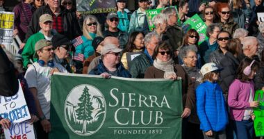 Iconic nature club founded in 1892 destroys itself with wokeness