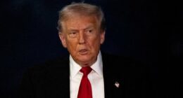 If Trump AND Arab nations can see the dangers of the terror-supporting Muslim Brotherhood, why can't we? asks NICK CANDY