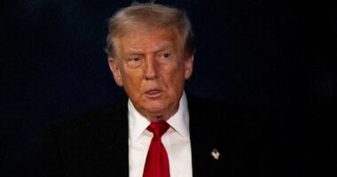 If Trump AND Arab nations can see the dangers of the terror-supporting Muslim Brotherhood, why can't we? asks NICK CANDY