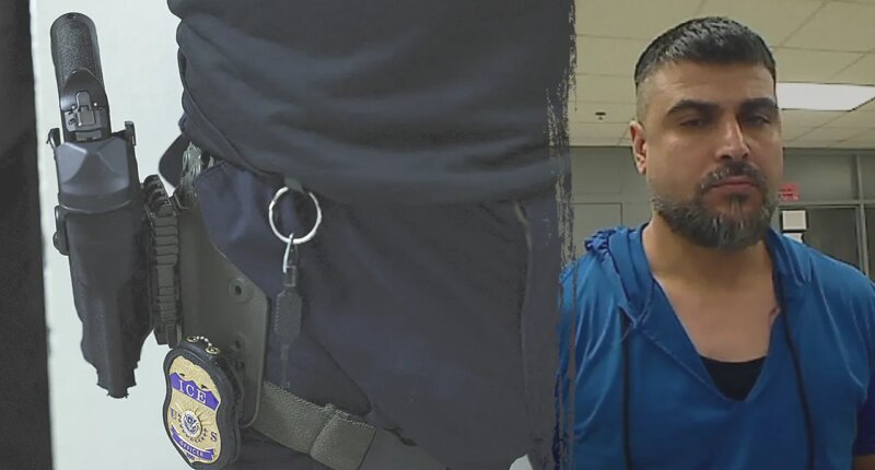 Illegal immigrant accused of grabbing ICE officer's taser while shouting 'Allahu akbar' during arrest