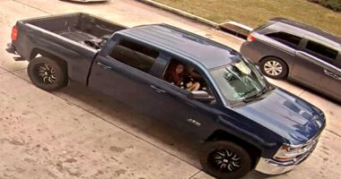 Illegal immigrants allegedly offered WhatsApp 'menu' of women for sex trafficking ring