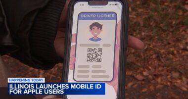 Illinois Mobile ID: IL-issued driver's license or state ID can now be added to Apple Wallet, work for TSA, airports