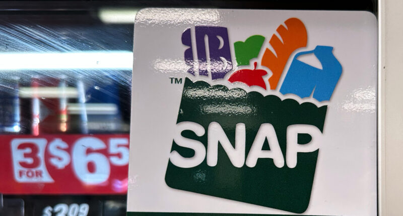 Illinois SNAP benefits: Food aid recipients to receive all November benefits by next week following end of government shutdown