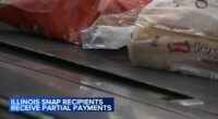 Illinois SNAP recipients receive partial benefits before funding order blocked by Supreme Court Justice Jackson