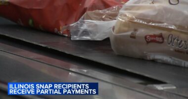 Illinois SNAP recipients receive partial benefits before funding order blocked by Supreme Court Justice Jackson