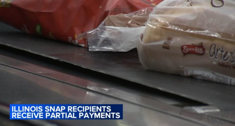 Illinois SNAP recipients receive partial benefits before funding order blocked by Supreme Court Justice Jackson