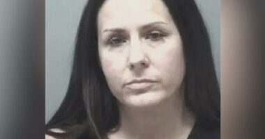Illinois mom allegedly had teen’s baby after chaperoning school dance
