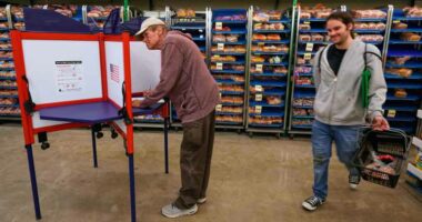 In Election 2025, the economy's still the main thing, according to the AP Voter Poll