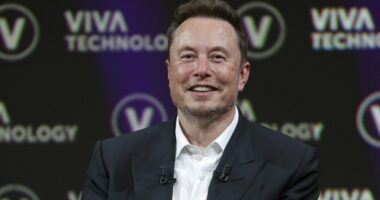 In less than 20 years none of us will be working at all thanks to artificial intelligence, says Elon Musk