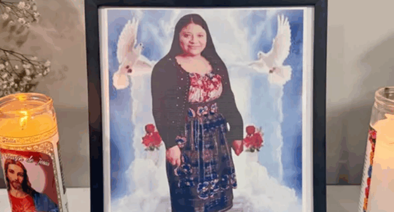 Indiana cleaning lady fatally shot after showing up at wrong home: police