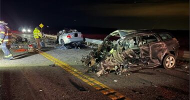 Infamous 'carjacker' caused horror crash that killed dad and 3 kids