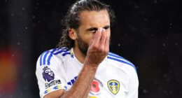 Inside Leeds United's fight for survival: Why the next month is crucial for Daniel Farke, the points-per-game ratio he MUST hit, the mistake they are desperate not to repeat - and the one thing insiders say will buy him time