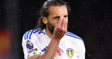 Inside Leeds United's fight for survival: Why the next month is crucial for Daniel Farke, the points-per-game ratio he MUST hit, the mistake they are desperate not to repeat - and the one thing insiders say will buy him time