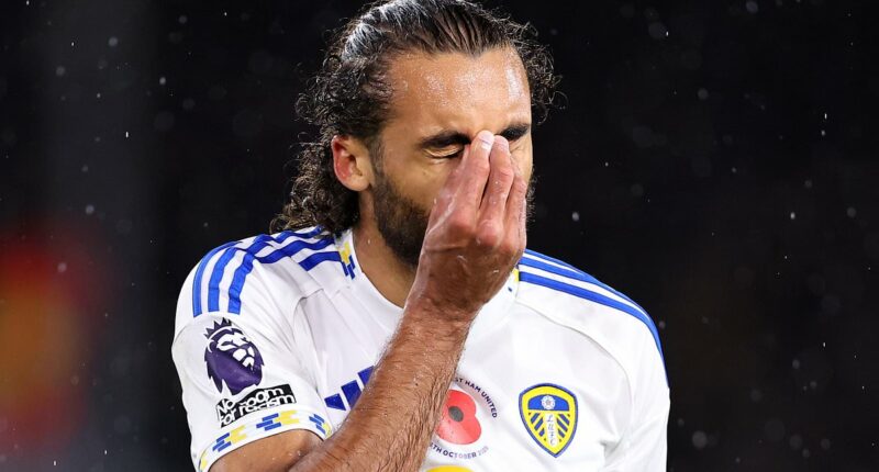 Inside Leeds United's fight for survival: Why the next month is crucial for Daniel Farke, the points-per-game ratio he MUST hit, the mistake they are desperate not to repeat - and the one thing insiders say will buy him time