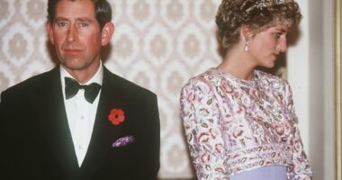 Inside Prince Charles and Princess Diana's miserable trip to Seoul that earned them the nickname 'The Glums'