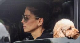 Inside Sandra Bullock's two-year disappearance, amid retirement rumors