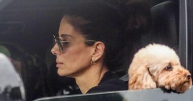 Inside Sandra Bullock's two-year disappearance, amid retirement rumors