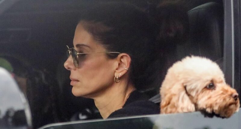 Inside Sandra Bullock's two-year disappearance, amid retirement rumors