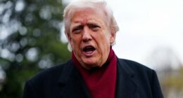 Insiders: Trump's losing control and MAGA's imploding