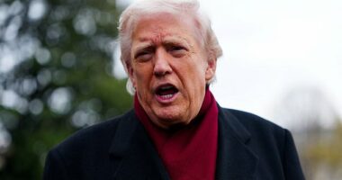 Insiders: Trump's losing control and MAGA's imploding