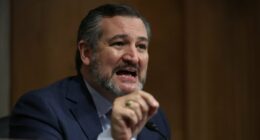 Insiders: Why Ted Cruz is obsessed with Tucker Carlson