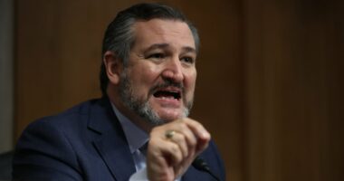 Insiders: Why Ted Cruz is obsessed with Tucker Carlson