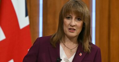 Insiders tell DAN HODGES Reeves 'genuinely doesn't know what to do'