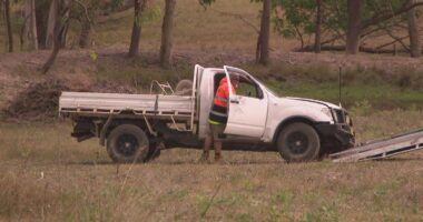Investigation underway after man dies in suspected hit-and-run