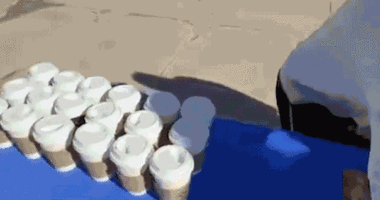 Iowa student flipped Turning Point USA table on campus in viral video that led to arrest: docs