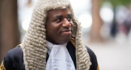 Is David Lammy sizing up a U-turn on controversial jury shake-up?