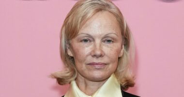 Is Meghan Markle 'copying' Pamela Anderson again? Duchess's barefaced magazine cover sparks comparisons to Baywatch star after cooking series 'rip-off'