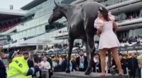 Is this 2025's 'Wheelie Bin girl'? Excruciating moment Melbourne Cup racegoer tries to ride a horse  statue- before getting told off by the police