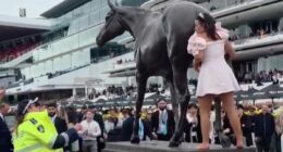 Is this 2025's 'Wheelie Bin girl'? Excruciating moment Melbourne Cup racegoer tries to ride a horse  statue- before getting told off by the police