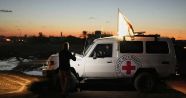 Israel identifies the latest remains returned from Gaza as hostage Dror Or