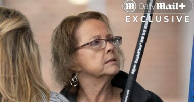 It's America's wildest custody battle. Now the husband breaks cover