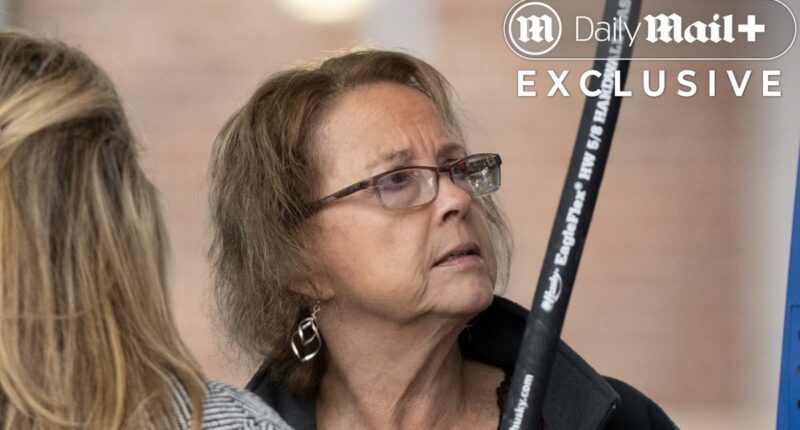 It's America's wildest custody battle. Now the husband breaks cover