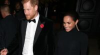 JAN MOIR: Harry and Meghan have made utter foolds of themselves. Again