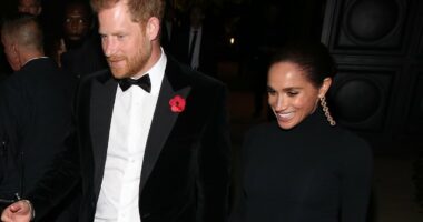 JAN MOIR: Harry and Meghan have made utter foolds of themselves. Again
