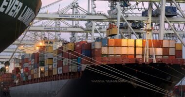 Jacksonville-based company tallies loss of 181 shipping containers as barge returns to Florida