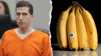 'Jailhouse Karen' Bryan Kohberger complains about prison bananas after quadruple murder conviction: report