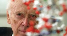 James Watson, co-discoverer of the double-helix shape of DNA, has died at age 97