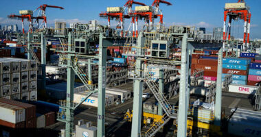 Japan's exports to the world rise but drop to the US due to tariffs