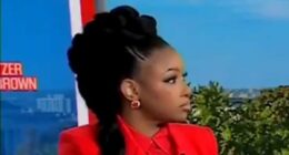 Jasmine Crockett clashes with CNN anchor over Epstein emails