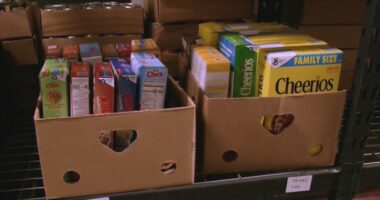 Jasper County collects donations for Hurricane Melissa relief