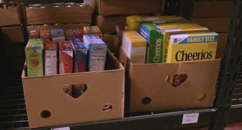 Jasper County collects donations for Hurricane Melissa relief