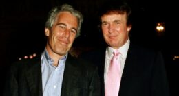 Jeffrey Epstein was dismayed Trump dodged scrutiny as sex abuse scandal exploded
