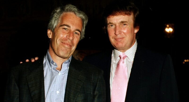 Jeffrey Epstein was dismayed Trump dodged scrutiny as sex abuse scandal exploded