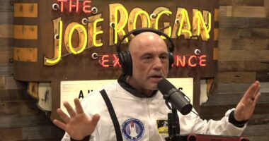Joe Rogan warns America is sliding toward 'bona fide civil war'
