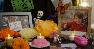 Joyful Day of the Dead commemorations rally US Latino communities despite immigration raid fears