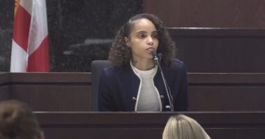 Jury begins deliberations in Julio Foolio's murder trial after Alicia Andrews' defense in court